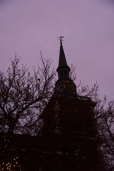 DSC_5955 (Large).JPG